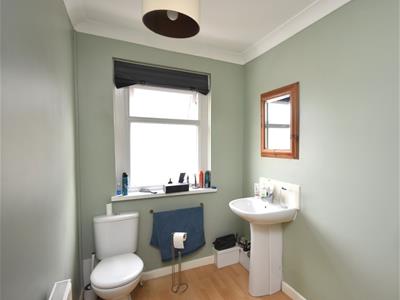 Picture 7
